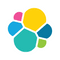 Elastic Icon