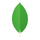 Mongo DB Icon