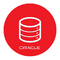 Oracle Icon